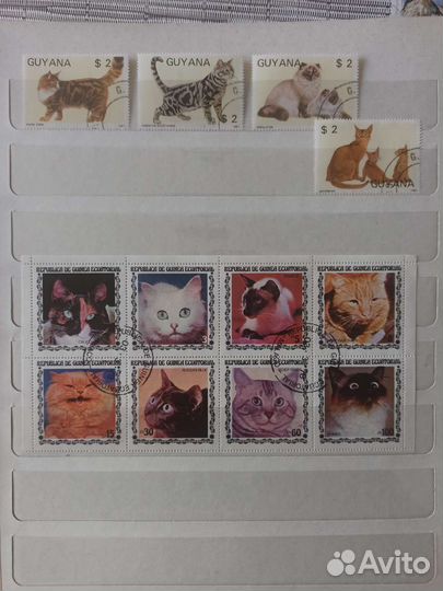 Марки зарубежные кошки фауна