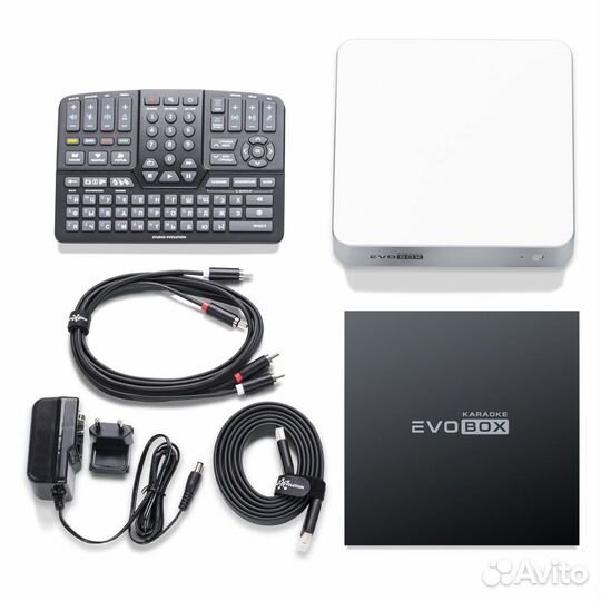 Evolution Evobox Silver караоке система для дома