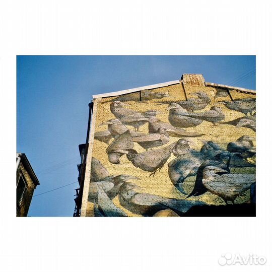 Плёночный фотоаппарат Panasonic Zoom C-D2100ZM