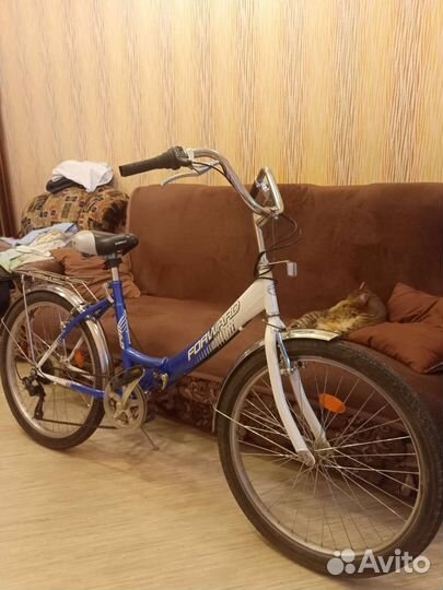 Велосипед forward Valencia 462