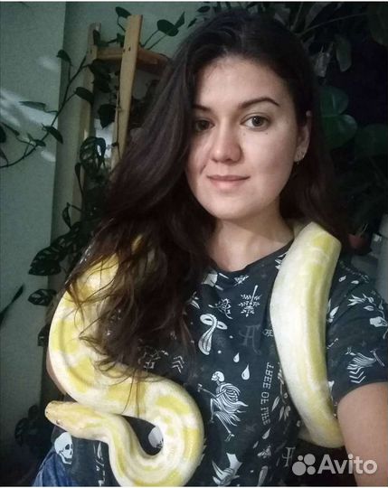 Аренда змей для фото, видео съёмок