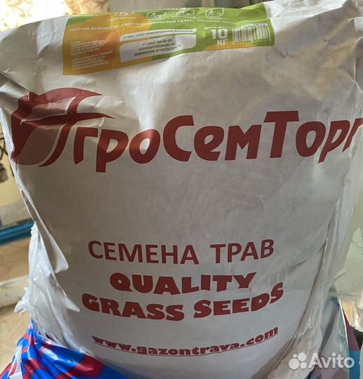 Газонная трава