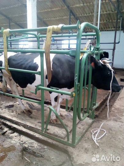 Станок для обработки копыт крс