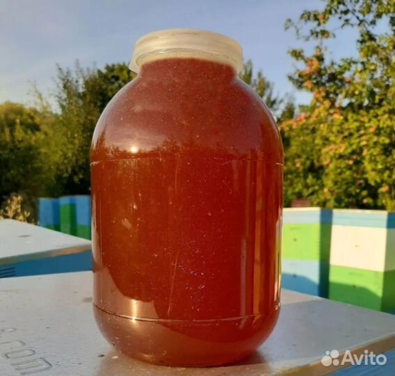 Мёд Майский