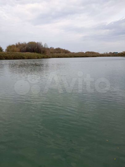 Дом 26,7 м² на участке 50 сот.