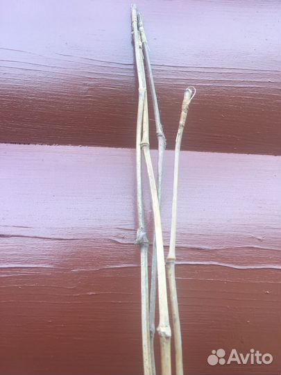 Удочки СССР