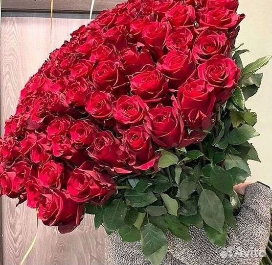 Высокие Розы Гиганты Доставка Круглосуточно