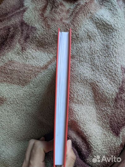 Покров 17 Александр Пелевин