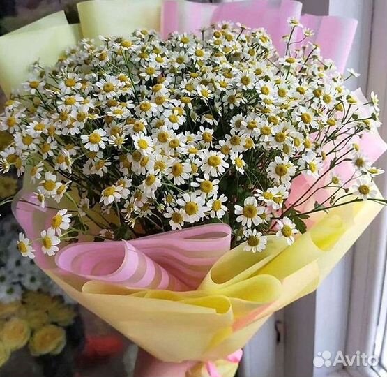 Букеты ромашек