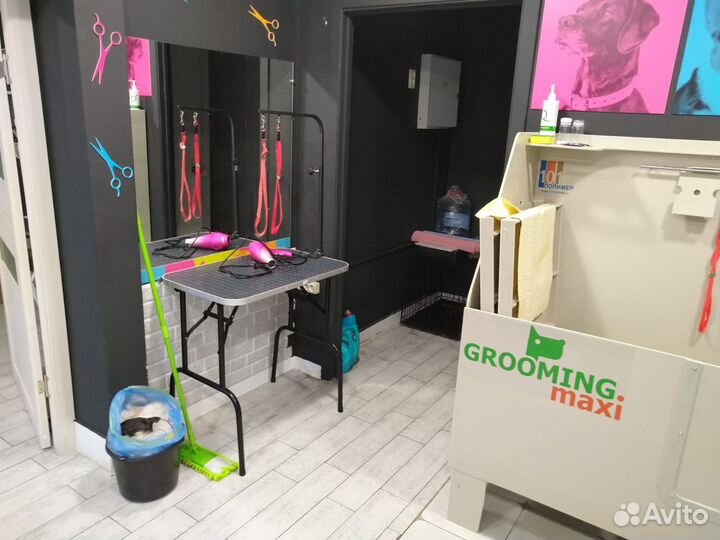 Салон по стрижки собак и кошек groom