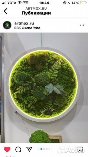 Картина из мха