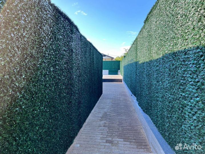 Зеленый забор/изгородь