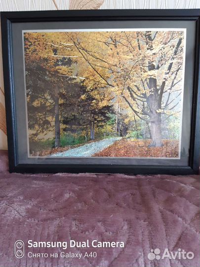 Картина по номерам новая