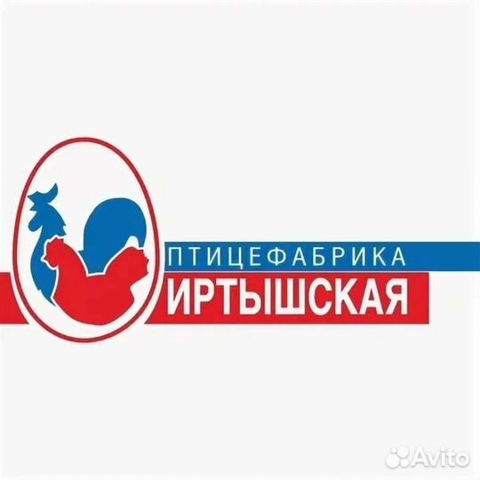 Разнорабочий/Грузчик ежедневные выплаты