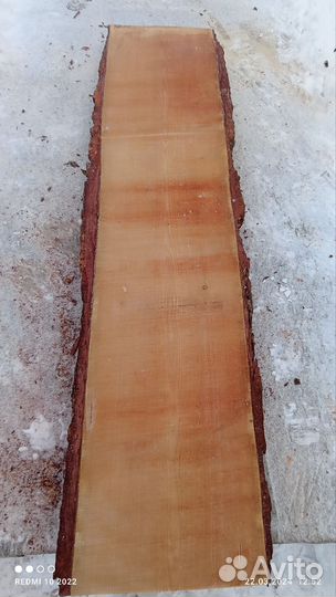 Слэб лиственница