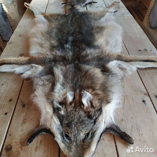 Шкура Волка ковер