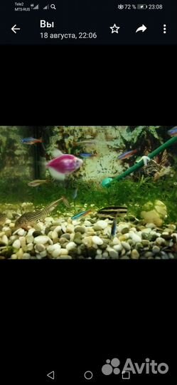 Аквариумы с рыбками