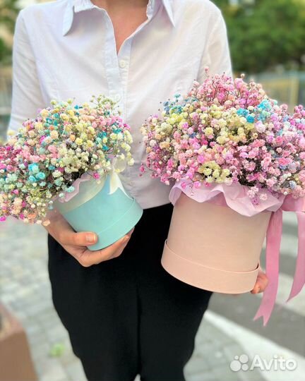 Радужная Гипсофила. Цветы/Композиции