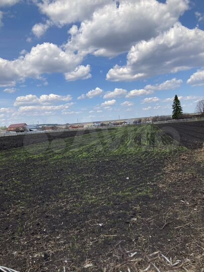 Участок 26 сот. (ИЖС)