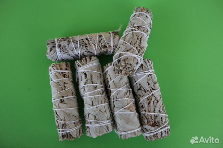 Шалфей Белый от 20шт опт для Озон