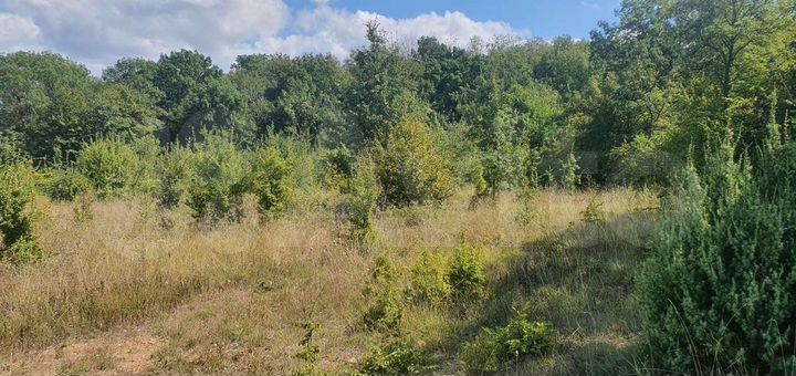 Участок 6,4 сот. (ИЖС)