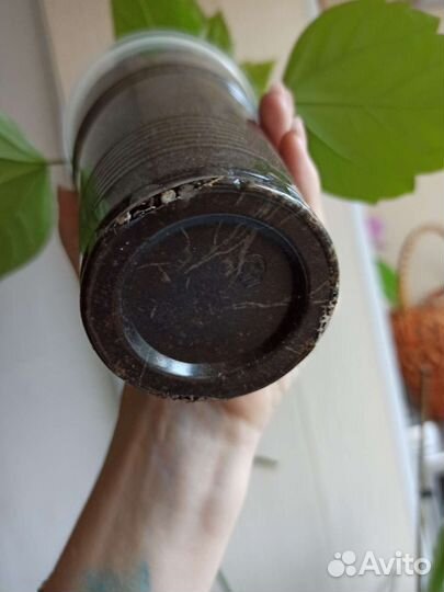 Гибискус китайская роза