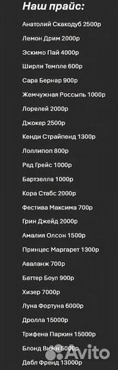 Пионы корневища Солланж
