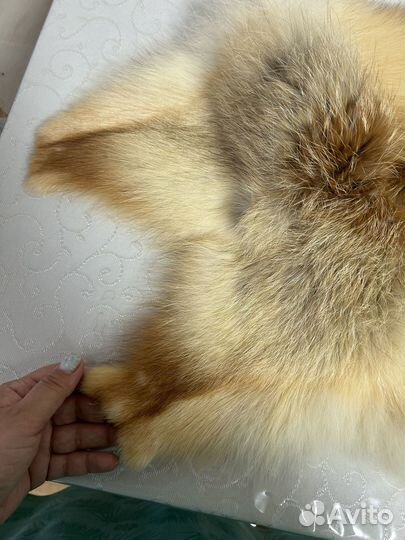 Шкурки лисы