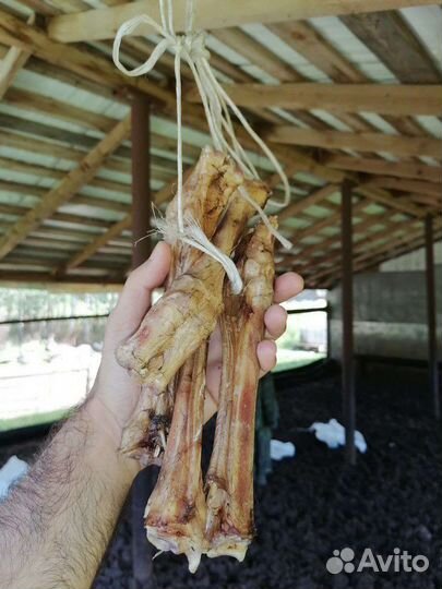 Сухое лакомство для собак натуральный корм