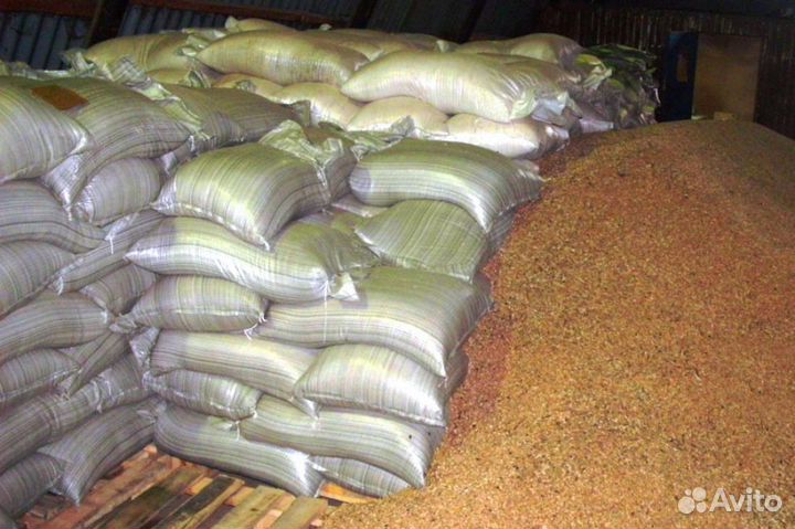 Пшеница, ячмень, овес, отруби, комбикорм, дробленк