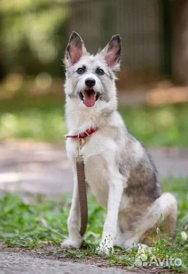 Подари мне шанс прожить жизнь в семье