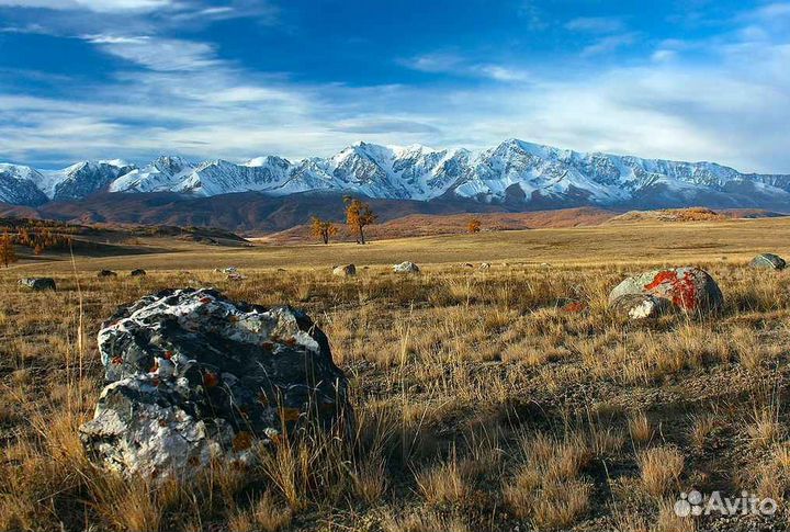 Туры по Горному Алтаю и Монголии