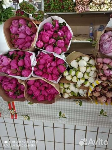 Пионы опт. Коробки. Опт коробка