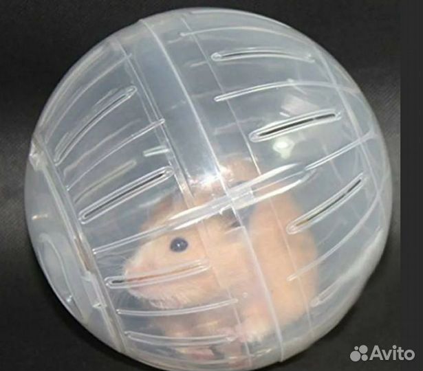 Шар для хомячков