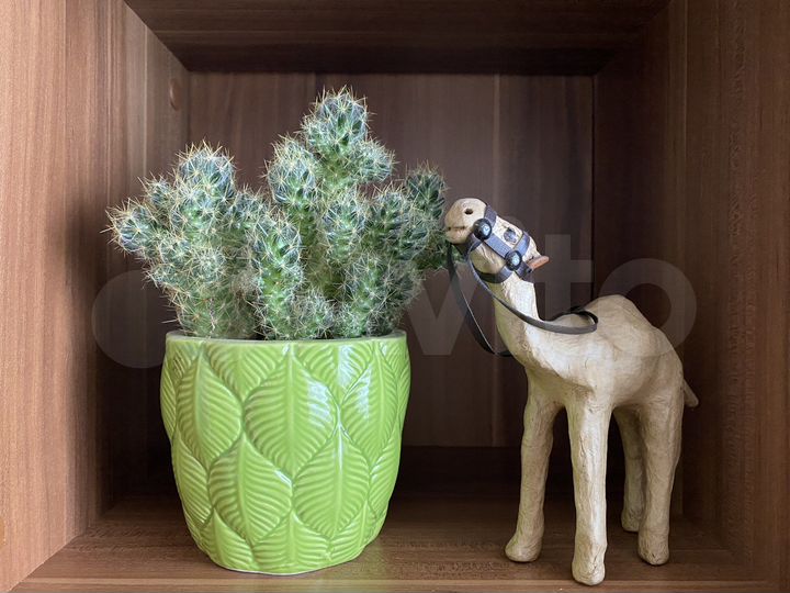 2-к. квартира, 52 м², 5/5 эт.