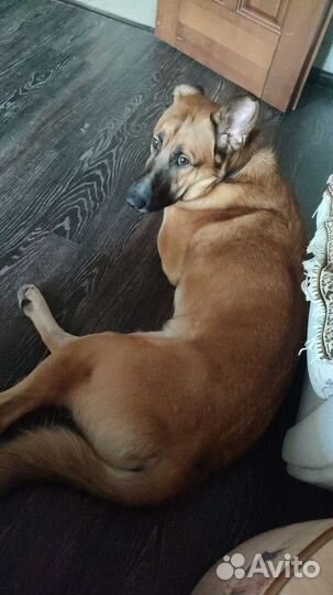 Нужна няня для ребенка