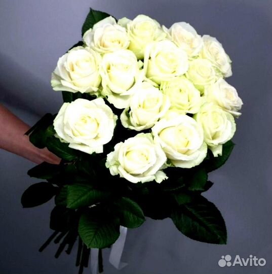 Букет 15 роз Букет