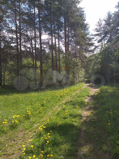 Участок 2,13 га (СНТ, ДНП)