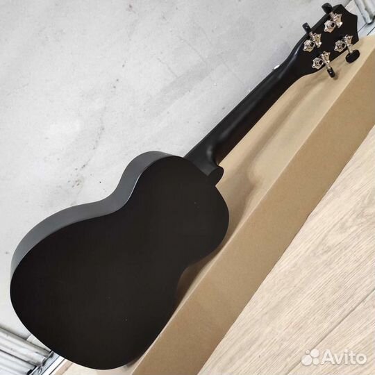 Укулеле новая концерт