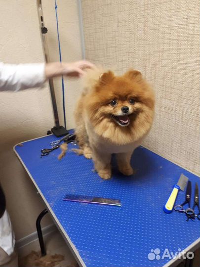 Шпицы для вязки