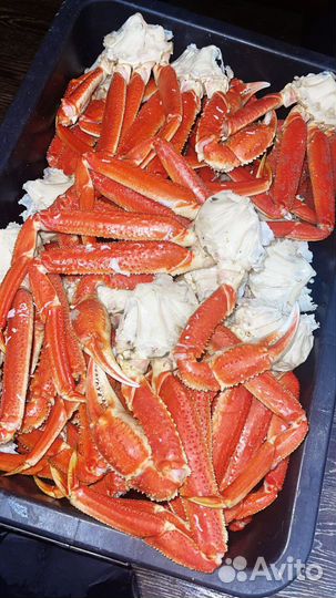 Краб (стригун)