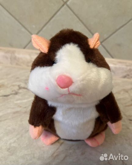 Хомяк-Говорун. Отличается пухом и повторением