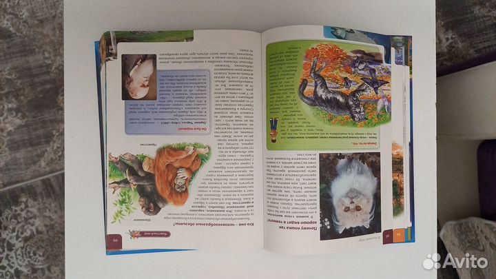 Детская литература