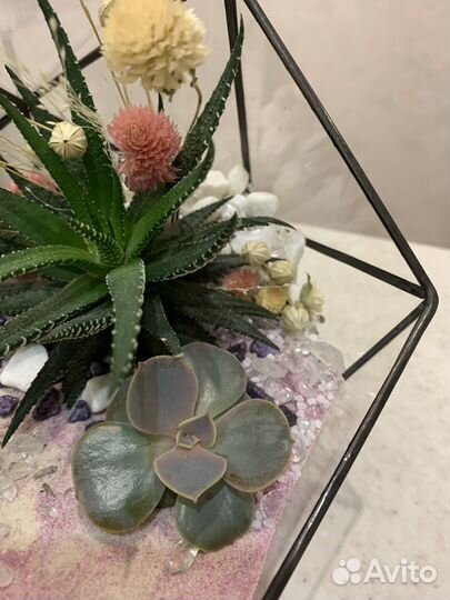 Флорариум с суккулентами