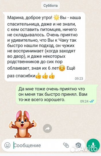 Выгул собак