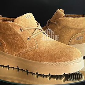 Ботинки Зимние Угги Ugg Burleigh Chukka Chestnut