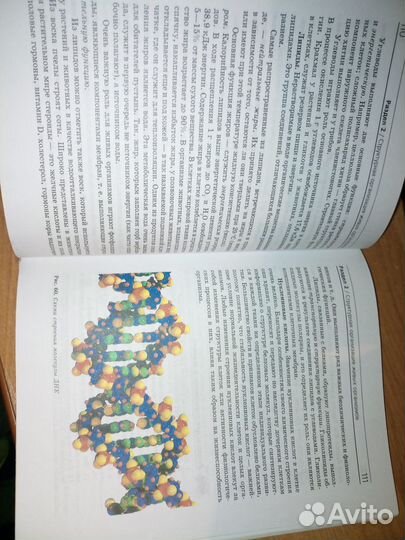 Биология. Общие закономерности. 9 класс. Мамонтов