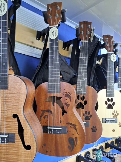 Укулеле концерт