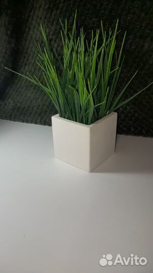 Осока в кашпо