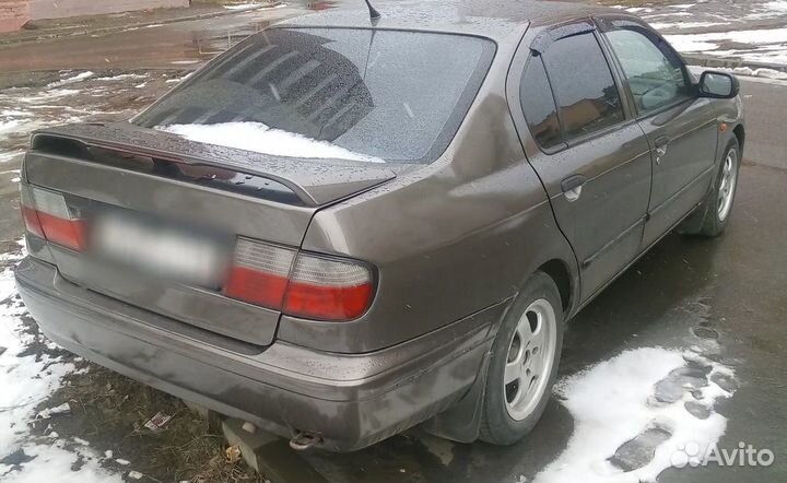 Авторазбор Nissan Primera (Ниссан Примера)